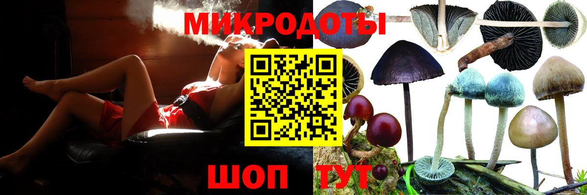 Галлюциногенные грибы Psilocybe Тихвин